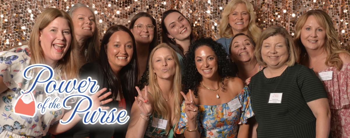Power of the Purse Webpage Image