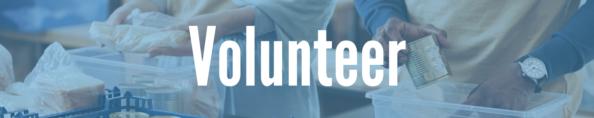 Volunteer