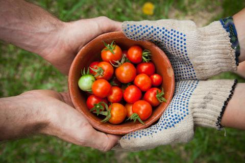 Fresh Produce